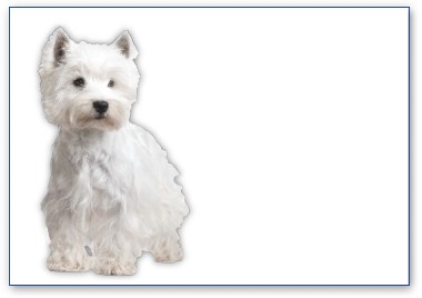 West Highland Terrier